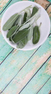 Adaçayı yaprakları otlar