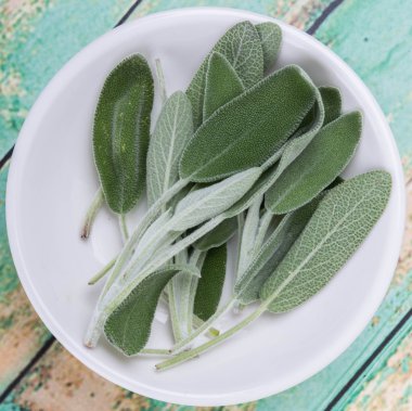 Adaçayı yaprakları otlar