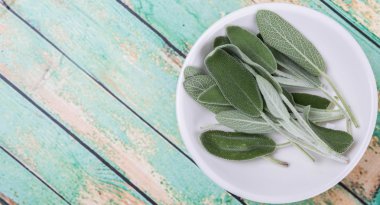 Adaçayı yaprakları otlar