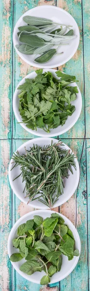 Sage Leaves, Rosemary, Mint, Parsley — Stock Photo, Image