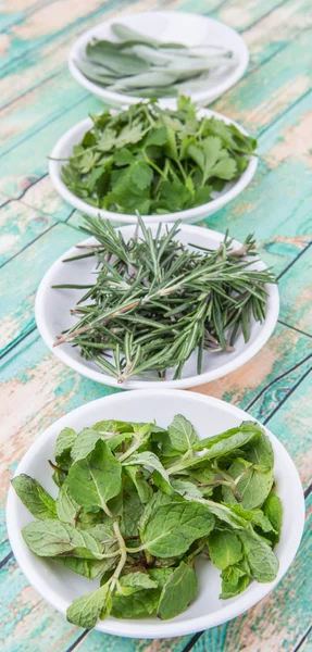 Salbeiblätter, Rosmarin, Minze, Petersilie — Stockfoto