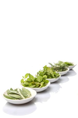 Otlar çeşitli beyaz kase