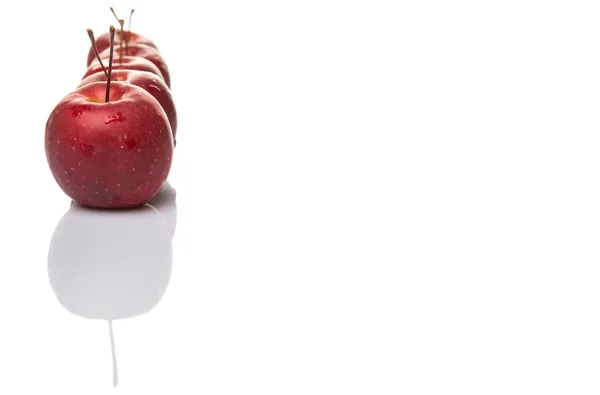 Caranguejo Fruta de maçã — Fotografia de Stock