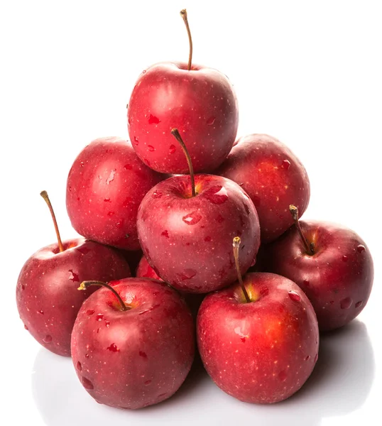 Crab Apple frukt — Stockfoto