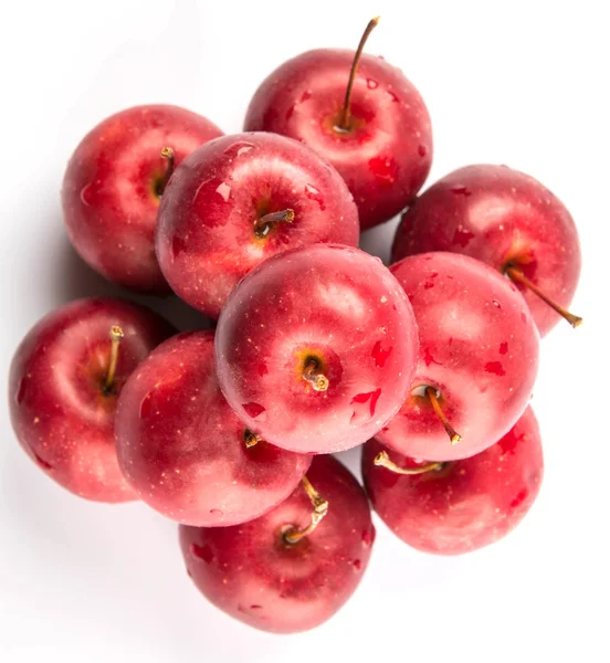 Caranguejo Fruta de maçã — Fotografia de Stock