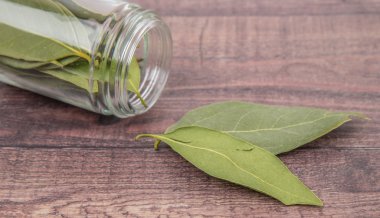 Defne yaprakları kurutulur