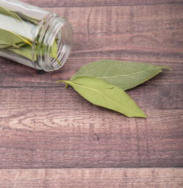 Defne yaprakları kurutulur