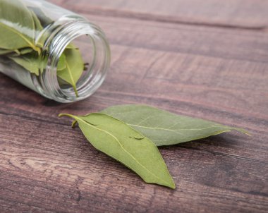 Defne yaprakları kurutulur