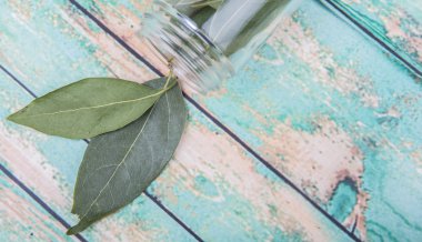 Defne yaprakları kurutulur