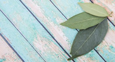 Defne yaprakları kurutulur