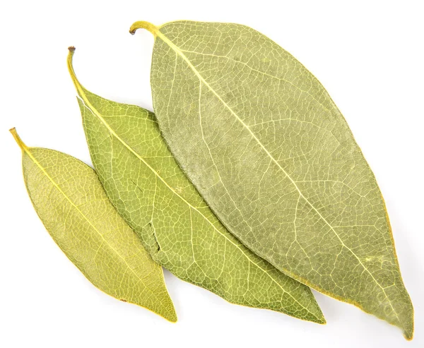 Defne yaprakları otlar kurutulmuş