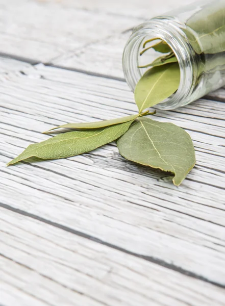 Dried Laurel Leaves