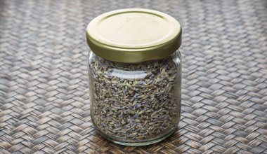 Kurutulmuş lavanta bitkisel çay