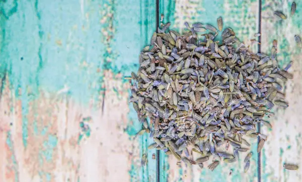 Torkad lavendel örtte — Stockfoto