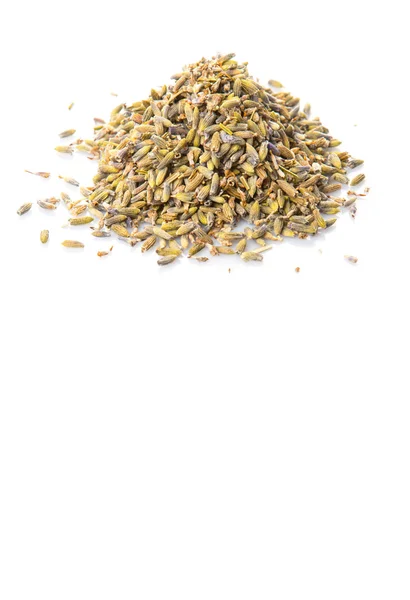 Dried Lavender Herbal Tea — Stock Photo, Image