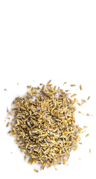 Dried Lavender Herbal Tea — Stock Photo, Image