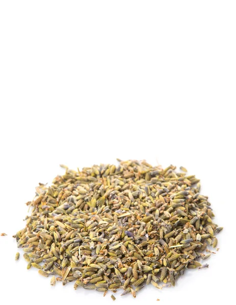 Sušená levandule bylinný čaj — Stock fotografie