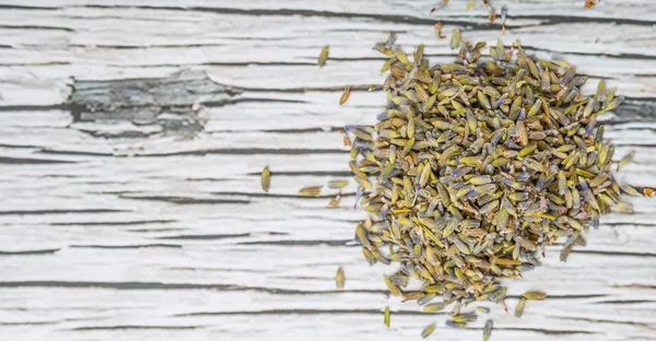 Kurutulmuş lavanta bitkisel çay