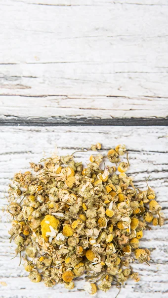 Kurutulmuş papatya bitkisel çay