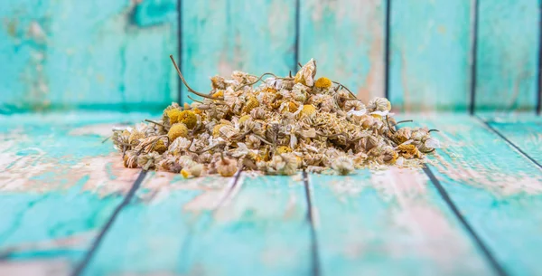 Kurutulmuş papatya bitkisel çay