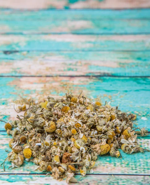 Kurutulmuş papatya bitkisel çay