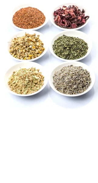 Variété de tisane — Photo