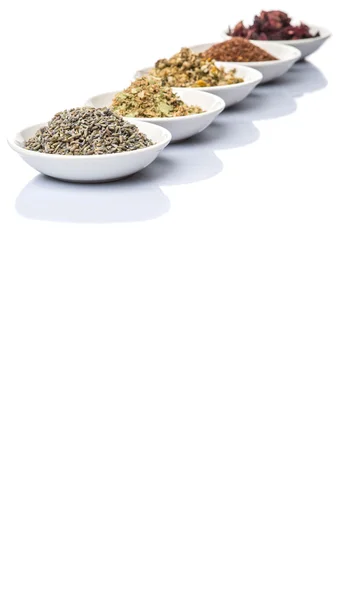 Asortyment herbaty ziołowe — Zdjęcie stockowe