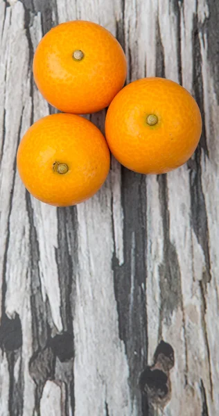 Fruits frais de Kumquat — Photo