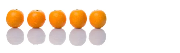 Färska Kumquat frukter — Stockfoto
