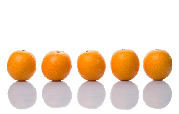 Friske Kumquat Frukt – stockfoto