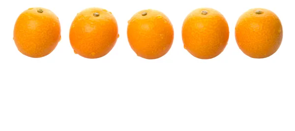 Ovoce čerstvé Kumquat — Stock fotografie