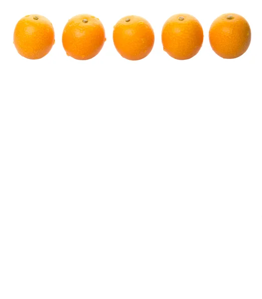 Fresh Kumquat Fruits — Stock Photo, Image