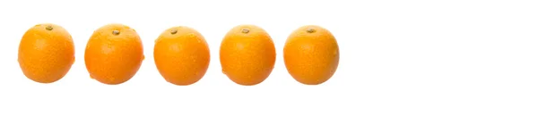 Färska Kumquat frukter — Stockfoto