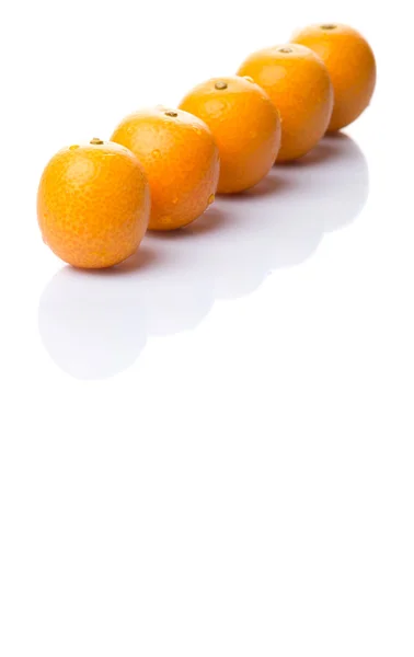 Färska Kumquat frukter — Stockfoto