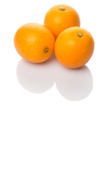 Fruits frais de Kumquat — Photo