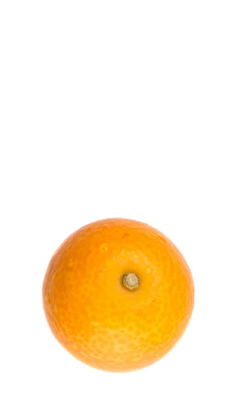 Fresh Kumquat Fruit — Stock Photo, Image
