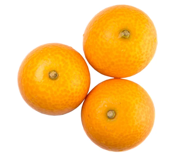 Frutta fresca di Kumquat — Foto Stock