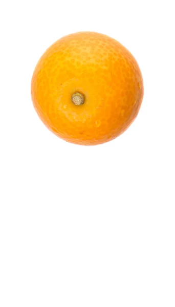 Verse Kumquat Fruit — Stockfoto