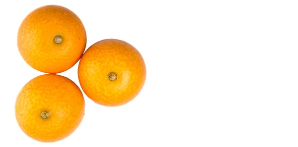Frische Kumquatfrüchte — Stockfoto