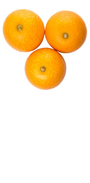 Färska Kumquat frukter — Stockfoto