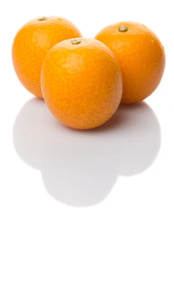 Frutta fresca di Kumquat — Foto Stock