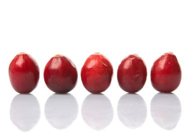 Kızılcık beyaz kase