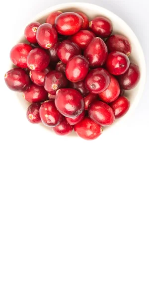 Cranberries em tigela branca — Fotografia de Stock