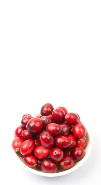 Tranbär i vit skål — Stockfoto