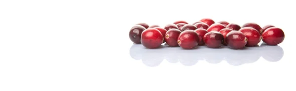 Cranberries In White Bowl — Stock Photo, Image