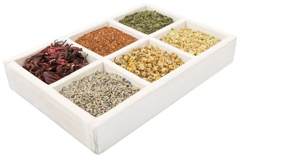 Set de té de hierbas secas — Foto de Stock