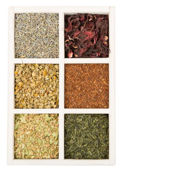 Set de té de hierbas secas — Foto de Stock