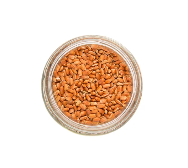 Brown millet in a jar — Stock Photo, Image