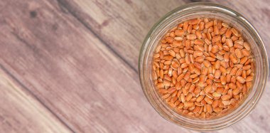 Bir kavanoza kahverengi darı