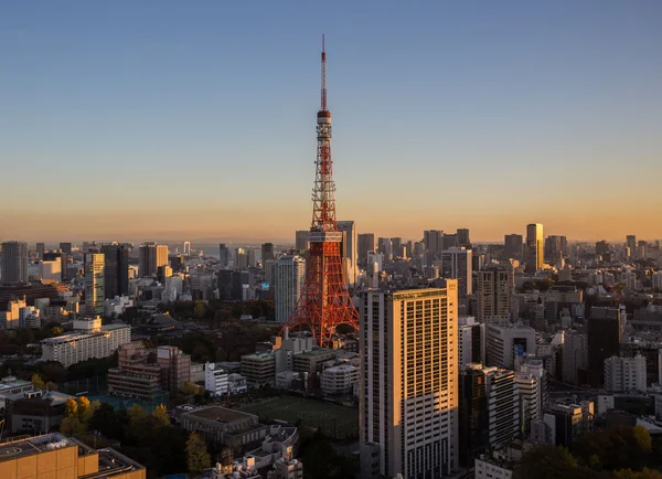 Tokyo Tower vista —  Fotos de Stock